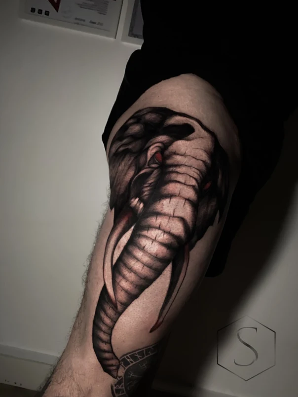 Реализм Elephant tattoo на Плечо