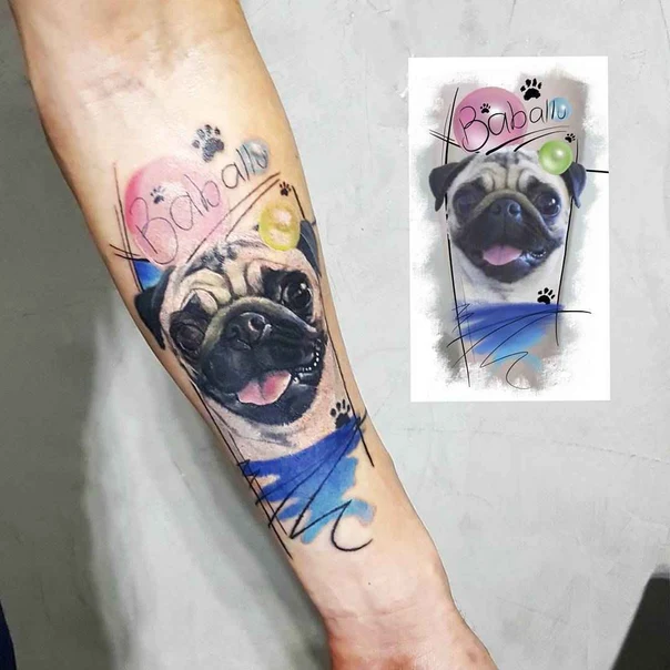 Illustrative Pug, Paw prints tattoo on Forearm