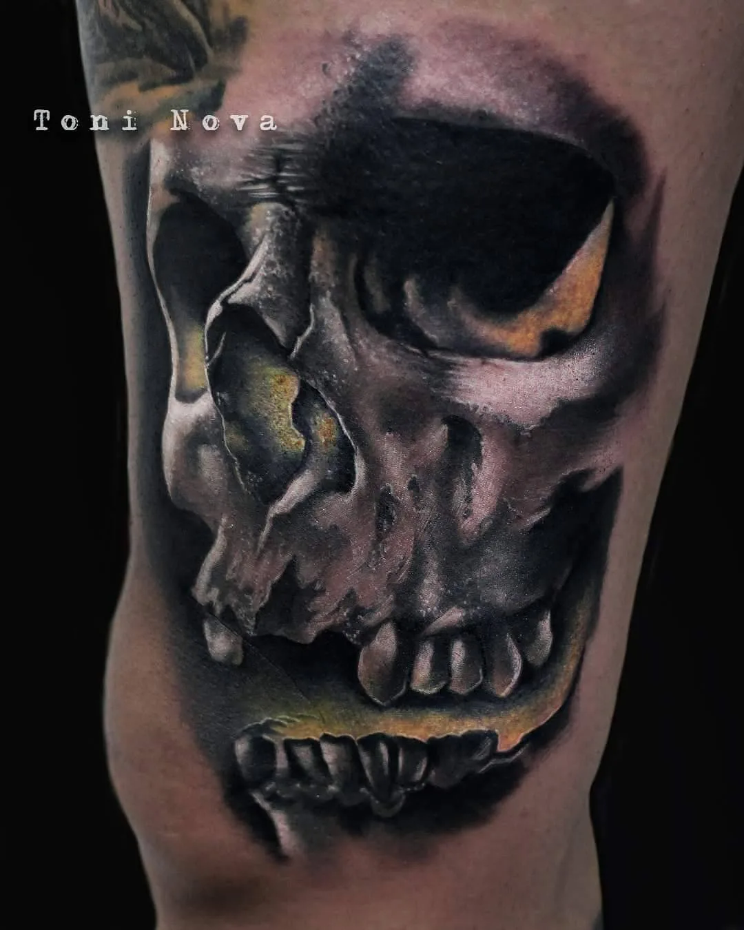 Tattoo artist Toni Nova, color and black&grey portrait tattoo realism, surrealistic tattoo | Barcelona, Spain