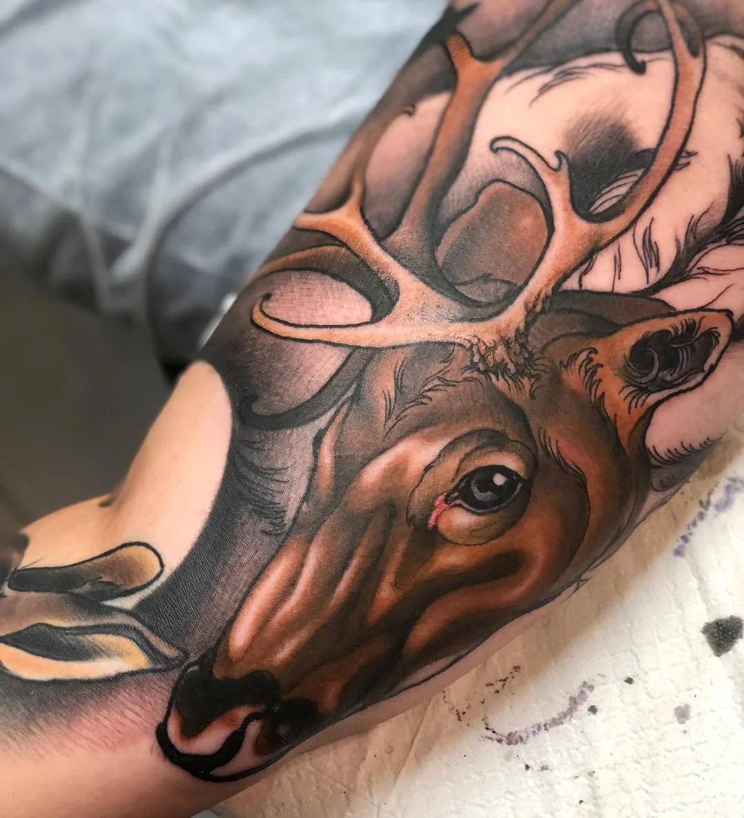 Tattoo artist Jake Danielson, estilo neo tradicional de tattoo de cores autorais | Melbourne, Australia