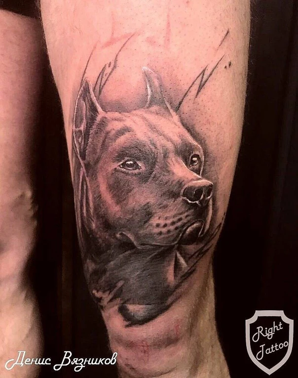Реализм Dog tattoo на Бедро