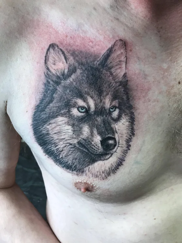 male black and grey realism 纹身 在 chest #33863 | 纹身师  Денис Вязников 