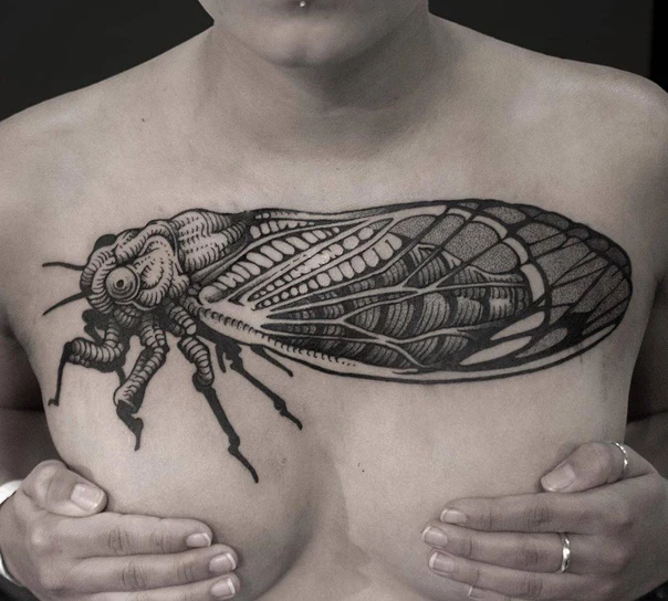 Blackwork Insect, Cicada tattoo on Chest