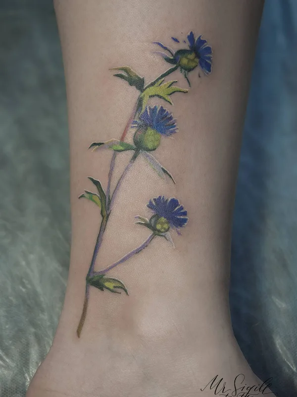 color botanic 타투 부위 ankle #34028 | 타투이스트 Mr Sigill