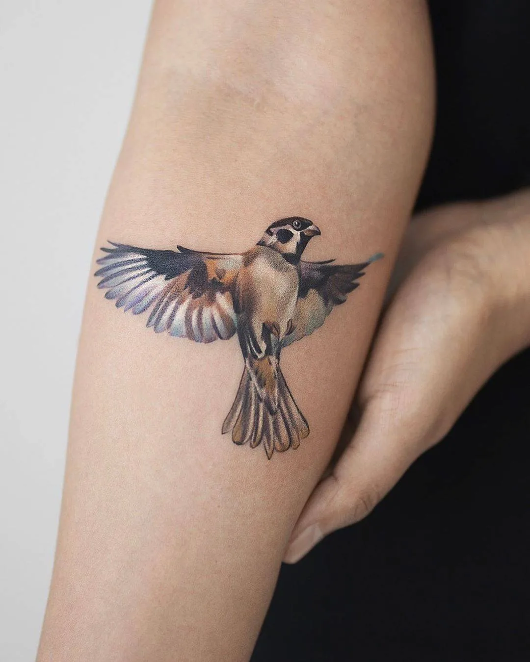 Tattoo artist Rey Jasper, authors color tattoo, watercolor, realism, minimalism, flowers | Auckland, New Zealand