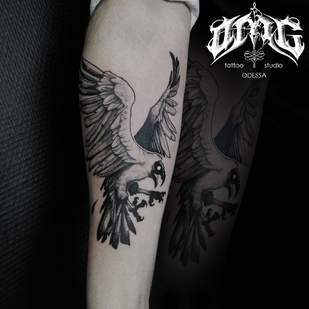 🔥 Горячие фото, портфолио модели  #38052  