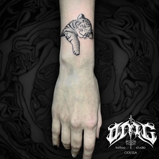 🔥 Горячие фото, портфолио модели  #38053  