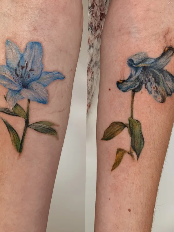 color realism 纹身 在 forearm #38182 | 纹身师 Лена Штарк