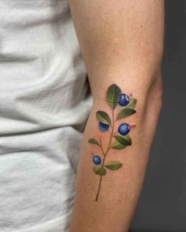 Ботаническая Blueberry, Plant tattoo на Предплечье