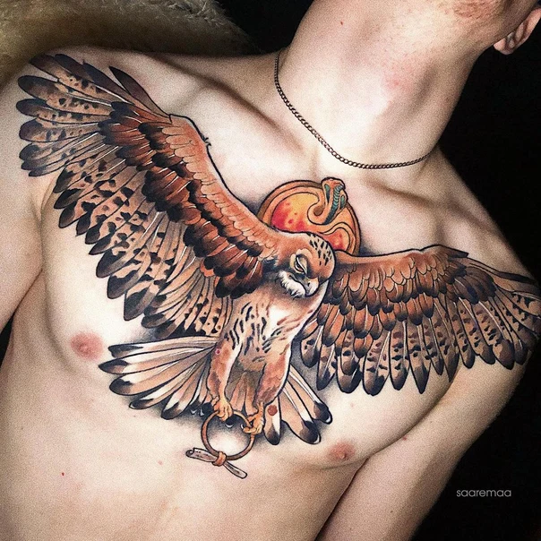 Нео-традиционная Bird, Snake tattoo на Грудь