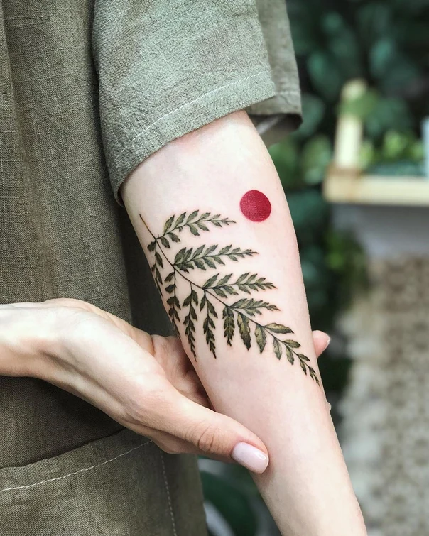Ботаническая Fern, Sun tattoo на Предплечье