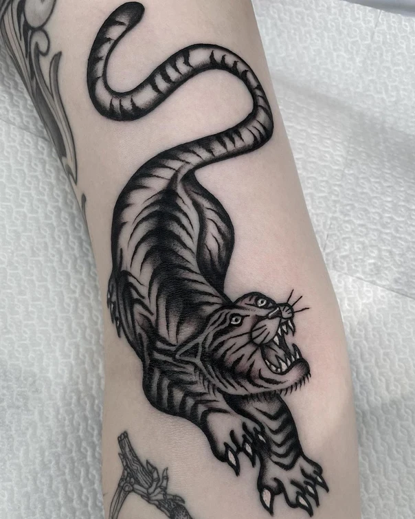 Traditional Tiger tattoo on Forearm