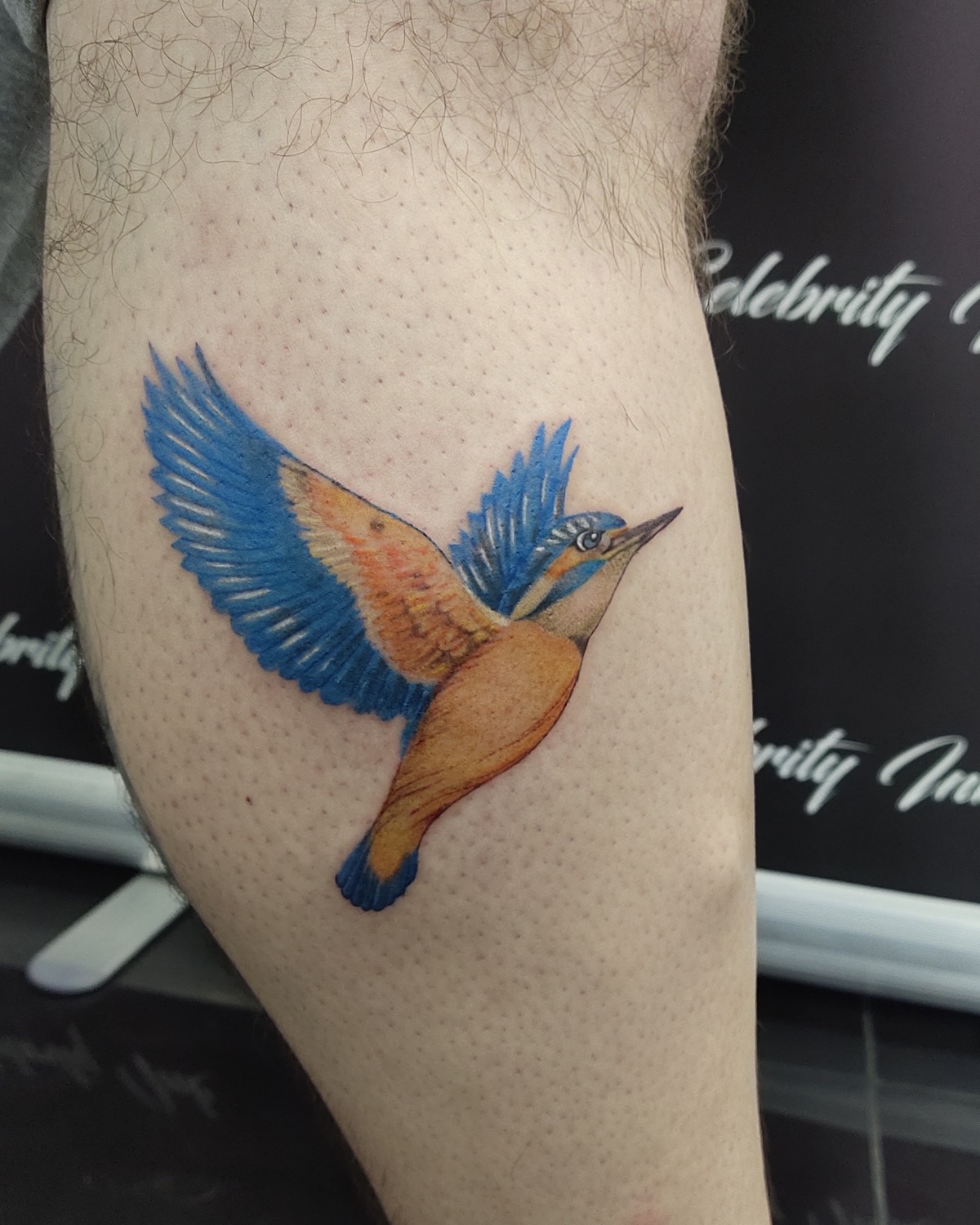Kingfisher Tattoos Symbolism Meanings  More