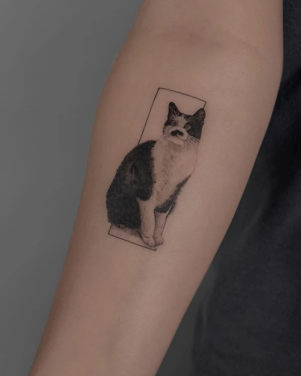 Realism Cat, Animal tattoo on Forearm