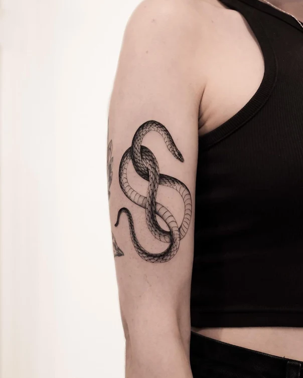Linework Snake tattoo on Upper Arm