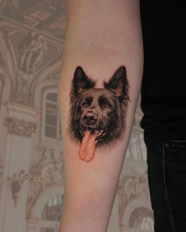Realism Dog tattoo on Forearm