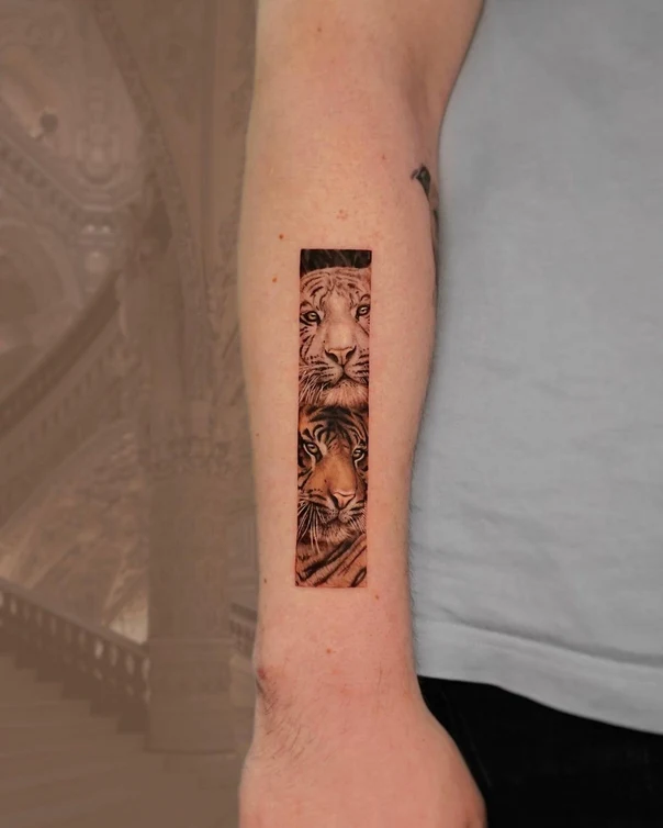 Realism Tiger tattoo on Forearm