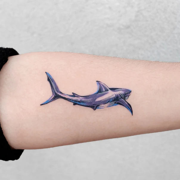 Illustrative Shark tattoo on Forearm