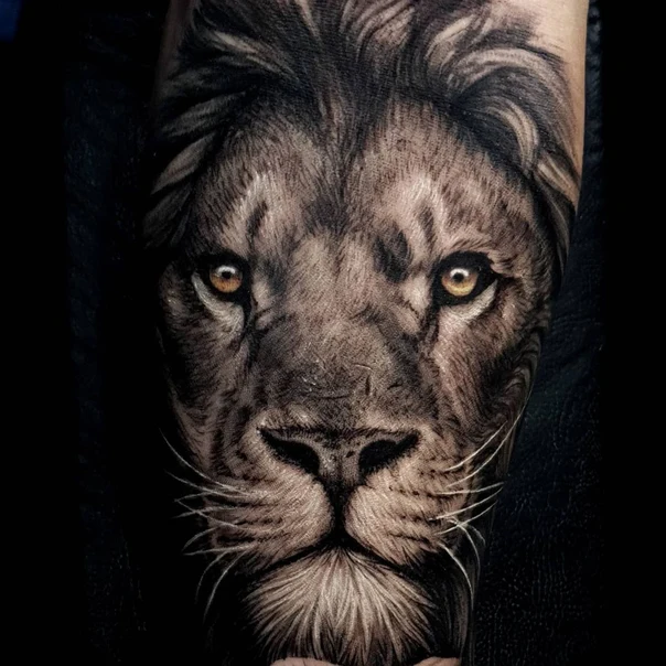 Realism Lion tattoo on Forearm