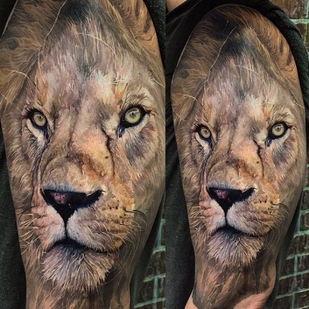 🔥 Горячие фото, портфолио модели  #60635  