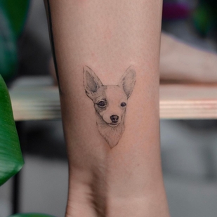 🔥 Горячие фото, портфолио модели  #60647  