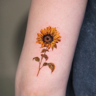 🔥 Горячие фото, портфолио модели  #60646  