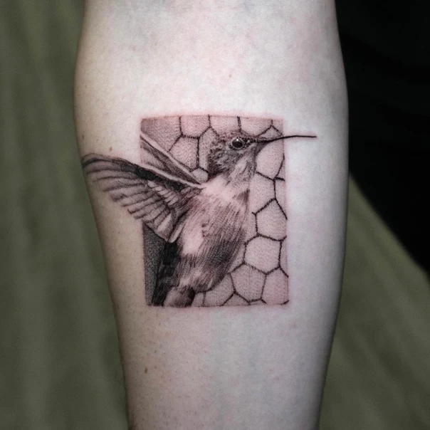 Realism Hummingbird, Geometric tattoo on Forearm