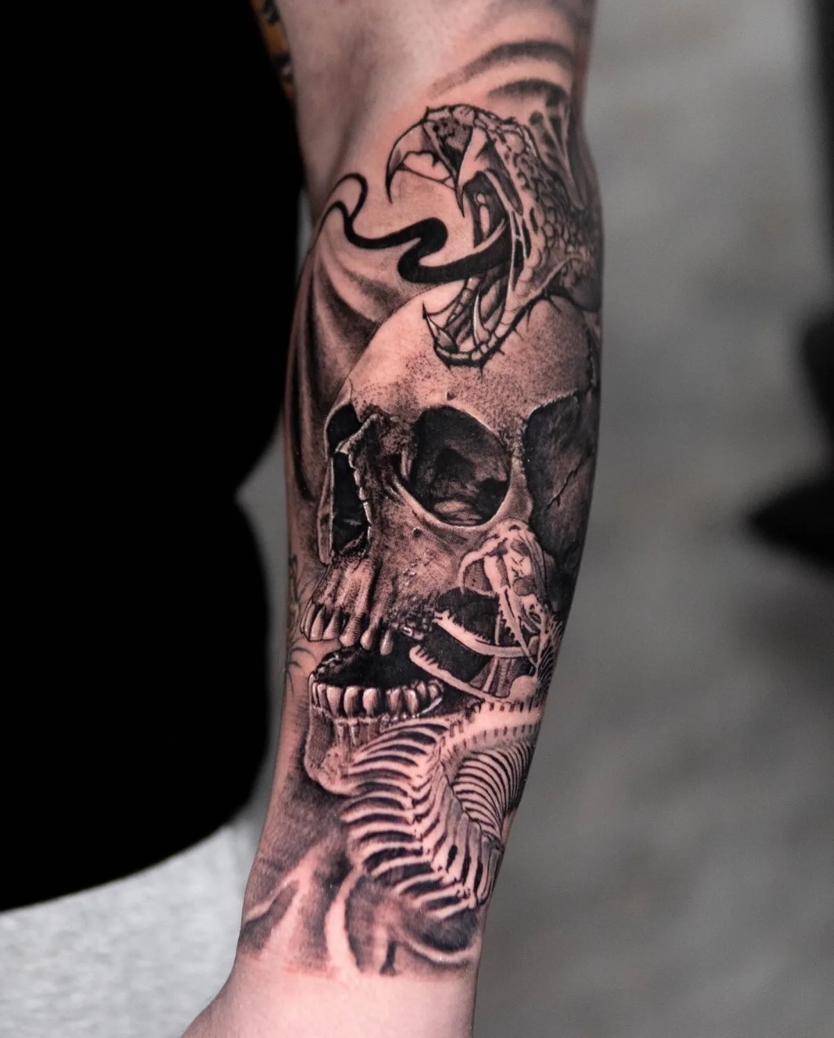 A detailed black and grey tattoo featuring a skull with a snake weaving through it and skeletal elements, rendered in a realistic style.