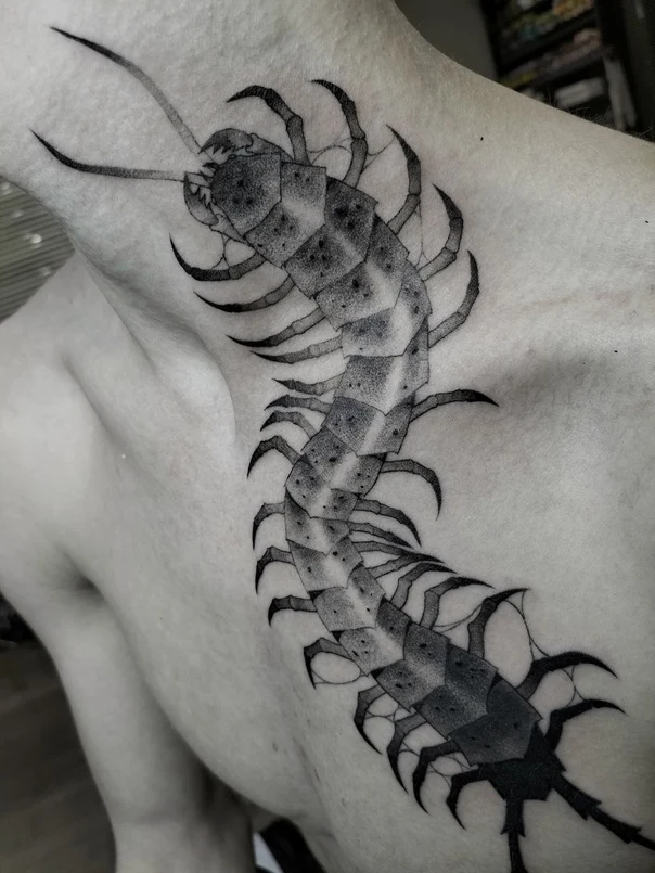 Графика Centipede-like insect tattoo на Грудь