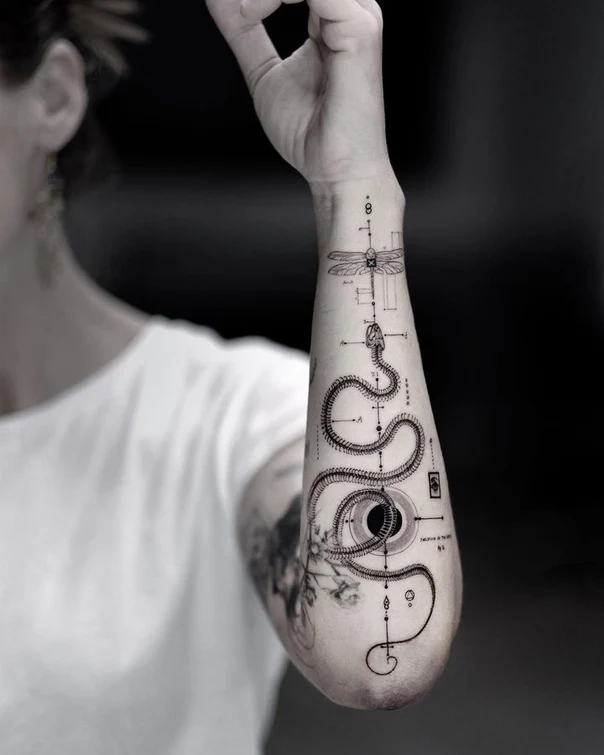 Linework Snake, Eye tattoo on Forearm