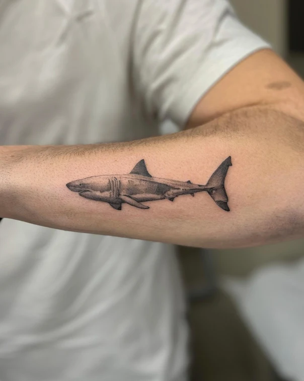Realism Shark tattoo on Forearm