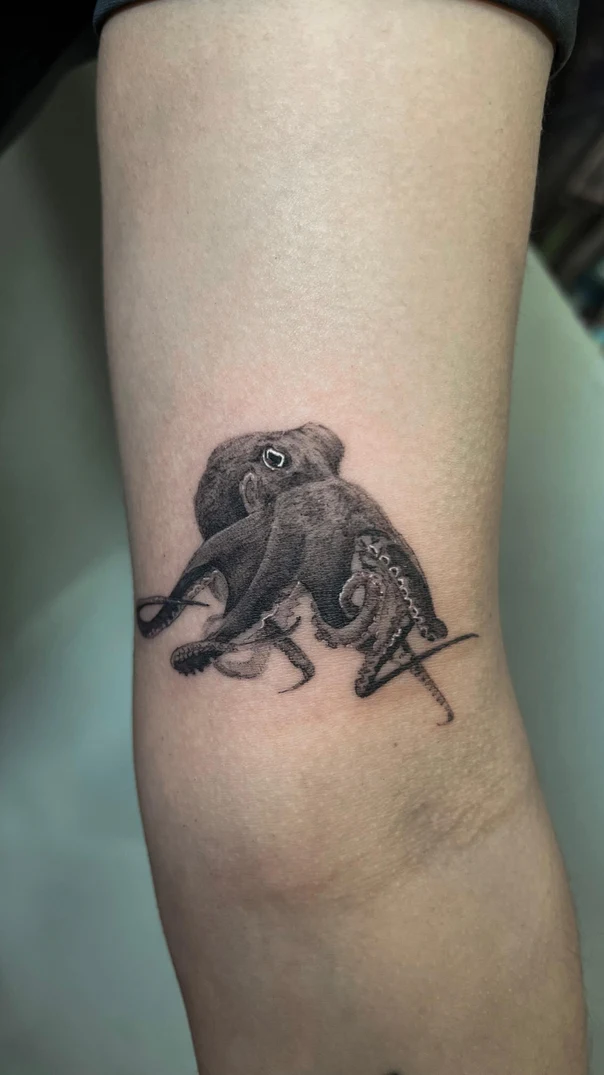 Realism Octopus tattoo on Forearm