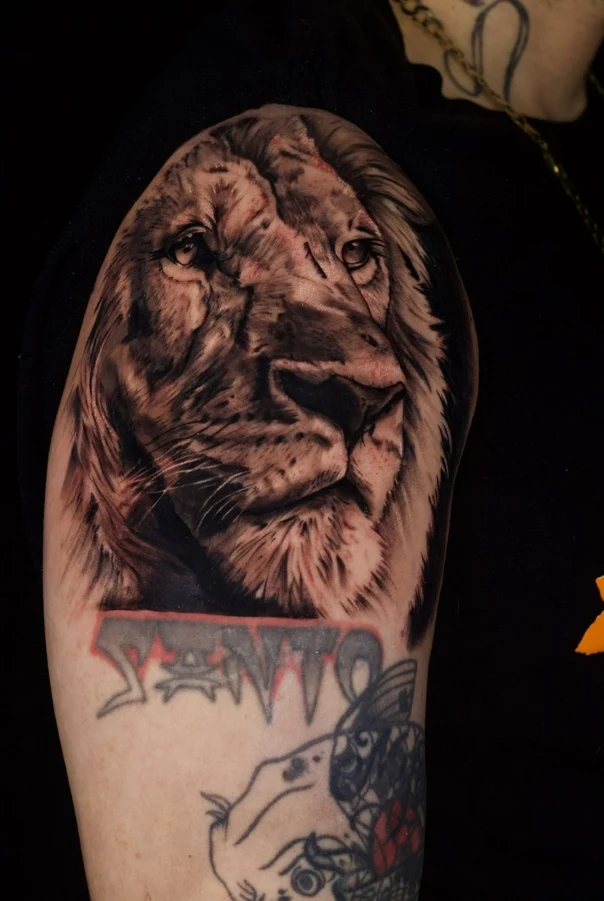 Realism Lion tattoo on Upper Arm