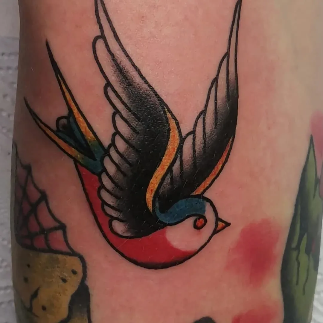 Ein klassisches Traditional-Tattoo einer Schwalbe mit fetten Linien und lebhaften Farben.