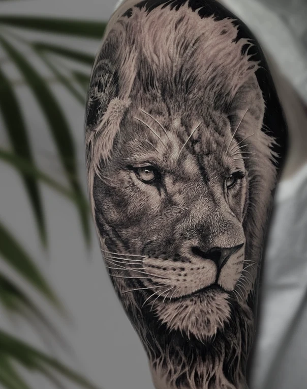 Realism Lion tattoo on Upper Arm