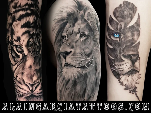 Realism Tiger, Lion tattoo on Forearm