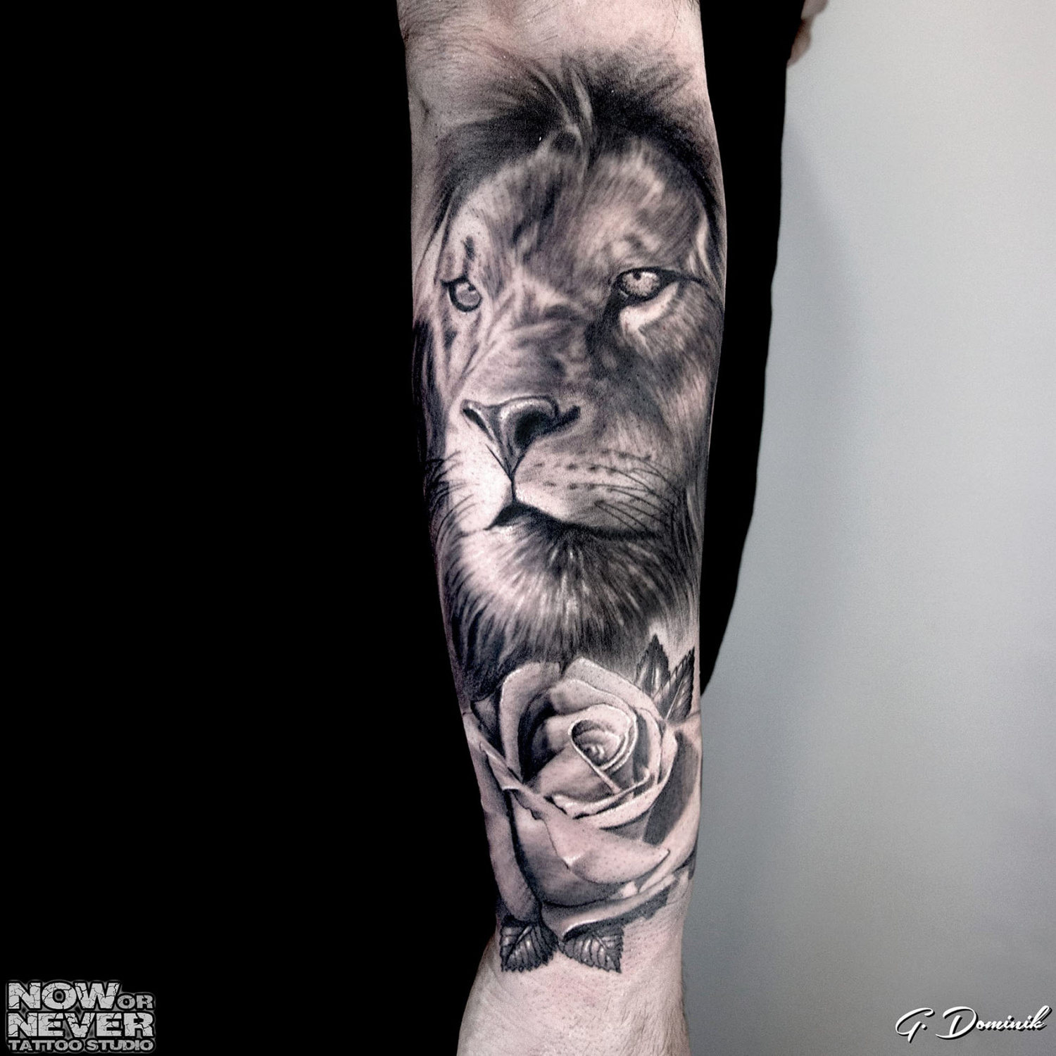 Realism Lion, Rose tattoo on Forearm