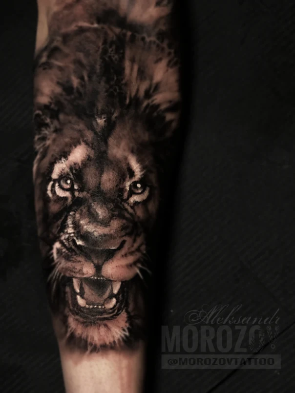 Realism Lion tattoo on Forearm