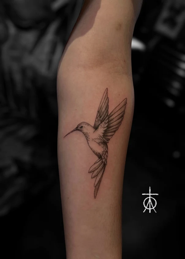 Fineline Hummingbird tattoo on Forearm