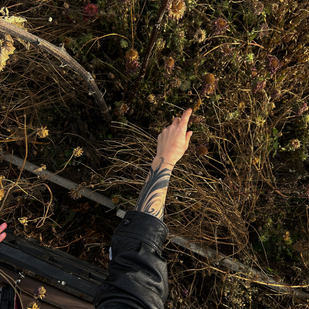 татуировка #88231 | Тату мастер Androrose