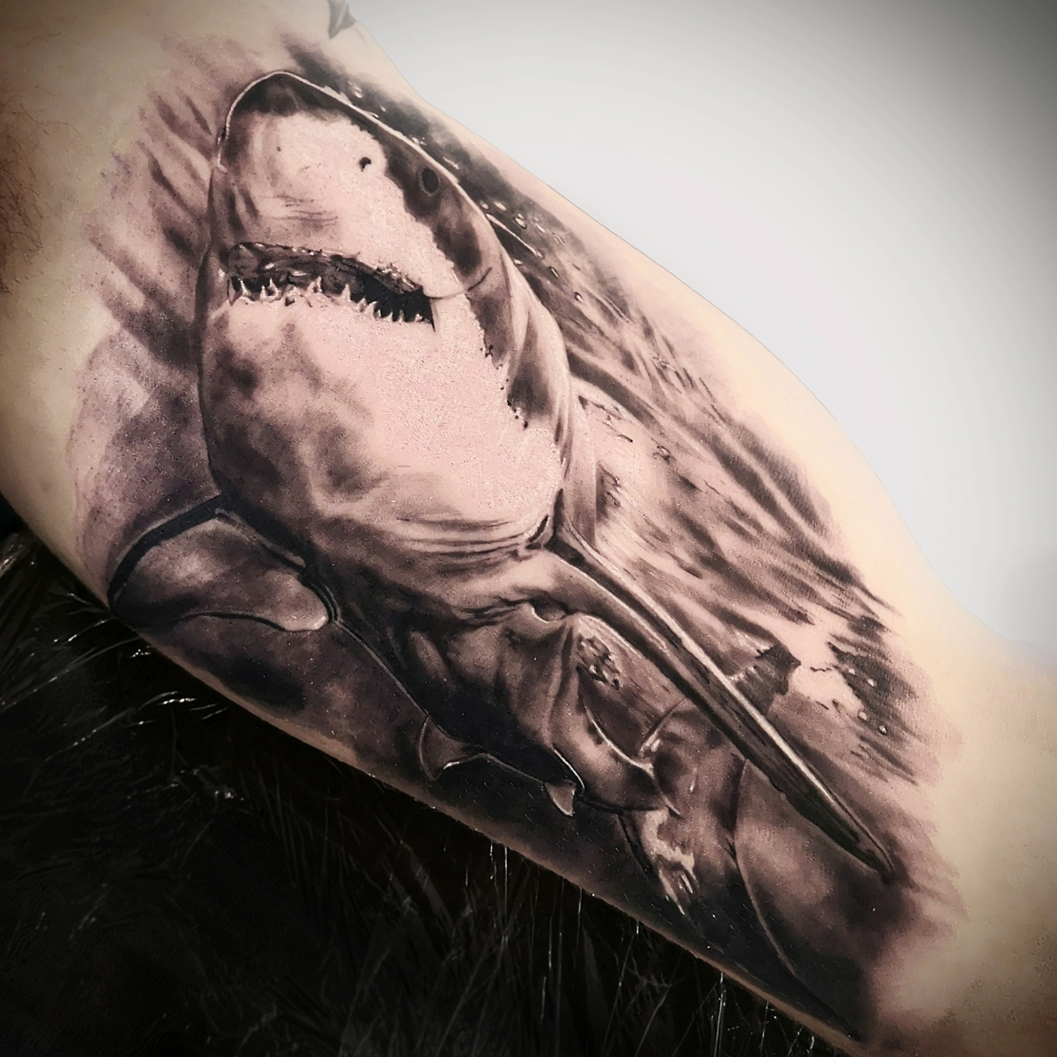 A highly realistic black and grey tattoo of a shark swimming underwater, with precise countershading from dark dorsal surface to pale belly.