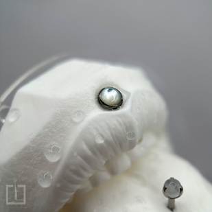 татуировка #88994 | Тату мастер Николай Гребенников