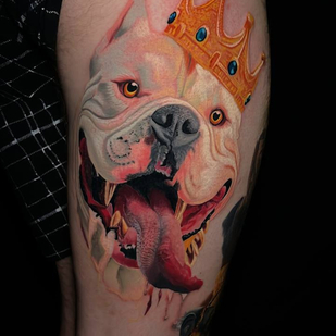 🔥 Горячие фото, портфолио модели  #85100  