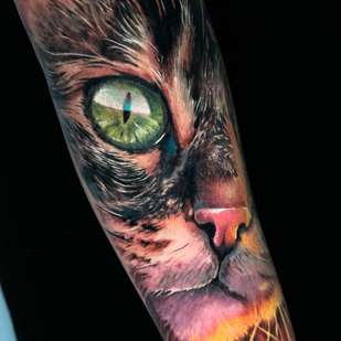 🔥 Горячие фото, портфолио модели  #87895  