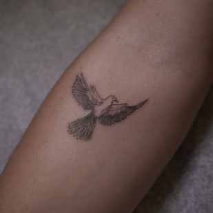 🔥 Горячие фото, портфолио модели  #83678  