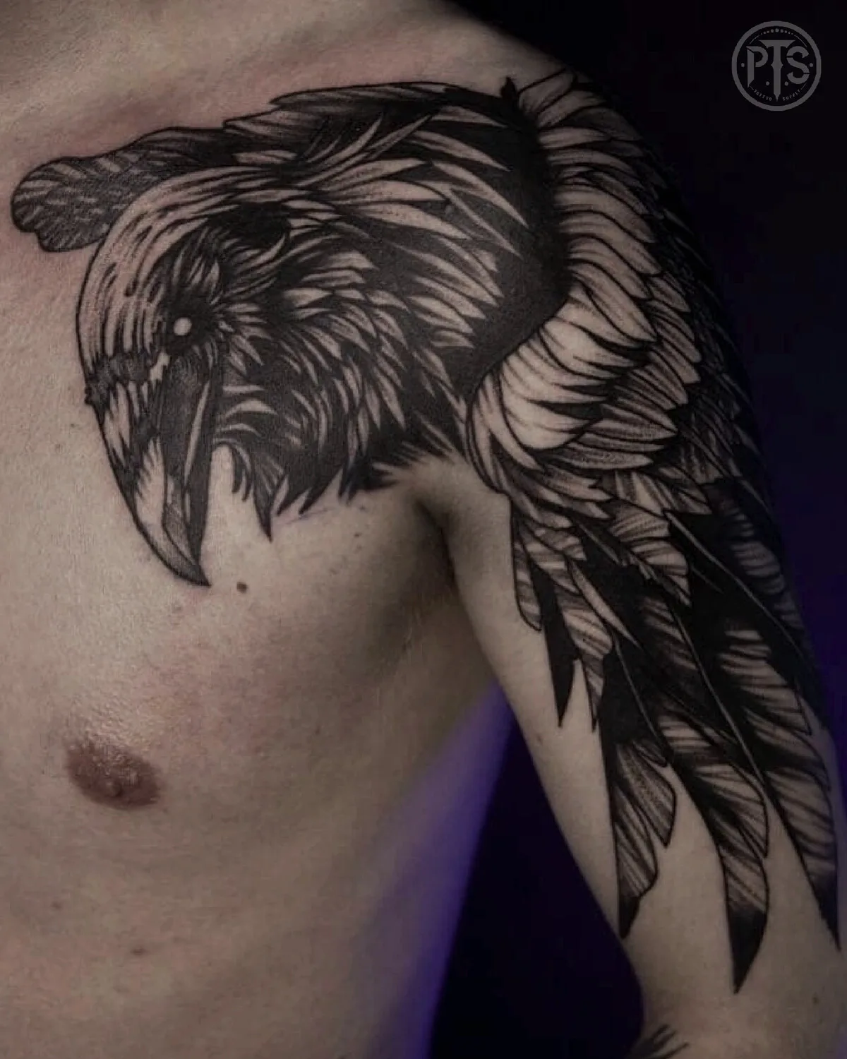 A blackwork tattoo of a raven with fully spread wings covering the chest and shoulder, rendered in solid black with strong graphic contrast.