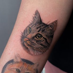 🔥 Горячие фото, портфолио модели  #92383  