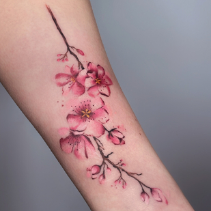 🔥 Горячие фото, портфолио модели  #92385  