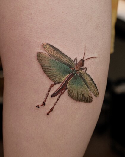 Тату эскиз #95118 Тату мастер Salvia.ink