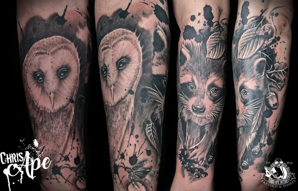 Realism Owl, Raccoon tattoo on Forearm